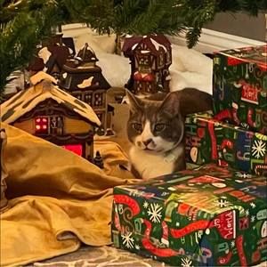 Meet your Posher, Paulette